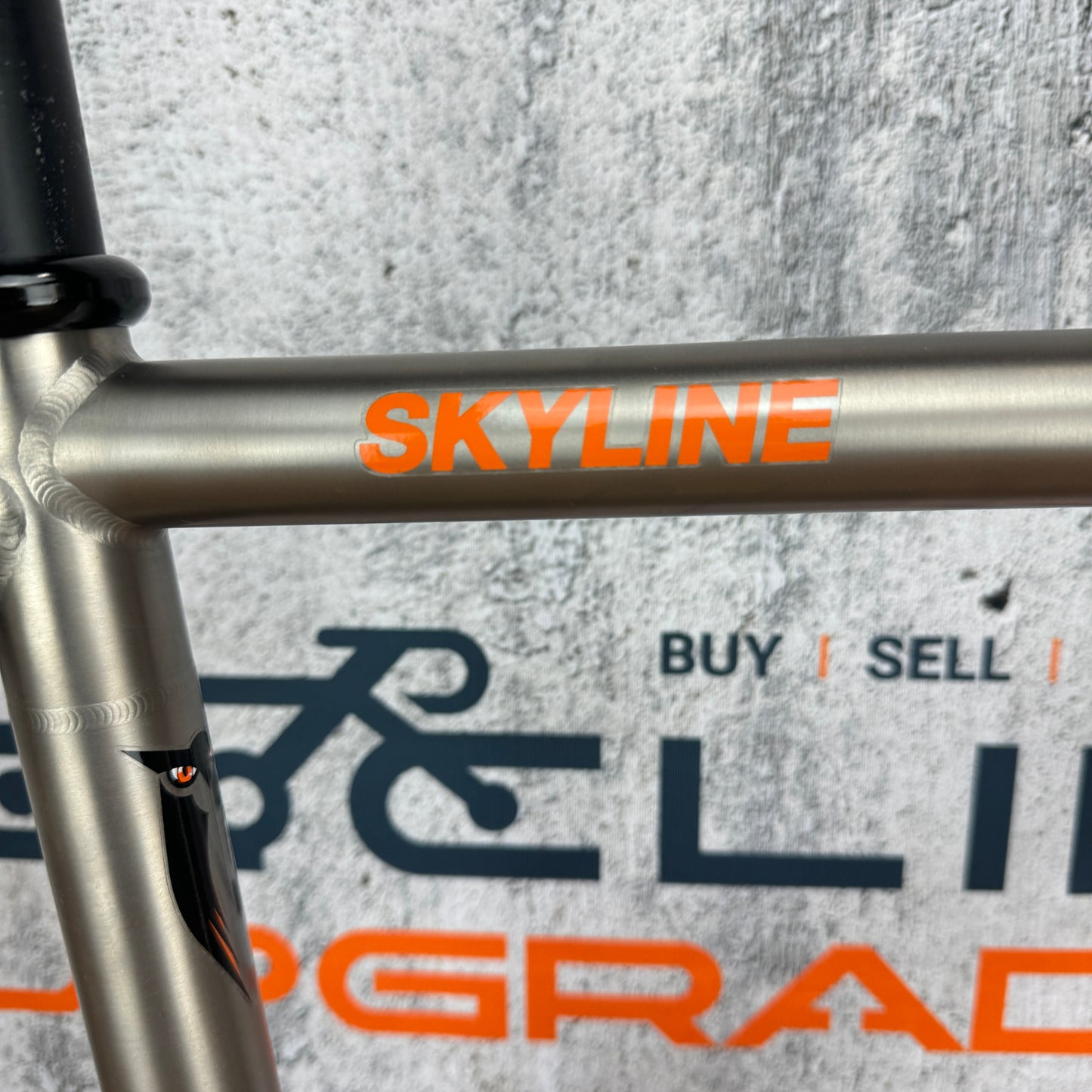 Ridden Once! 2021 Sage Skyline 50cm Titanium Disc Frameset + Enve Carbon Fork