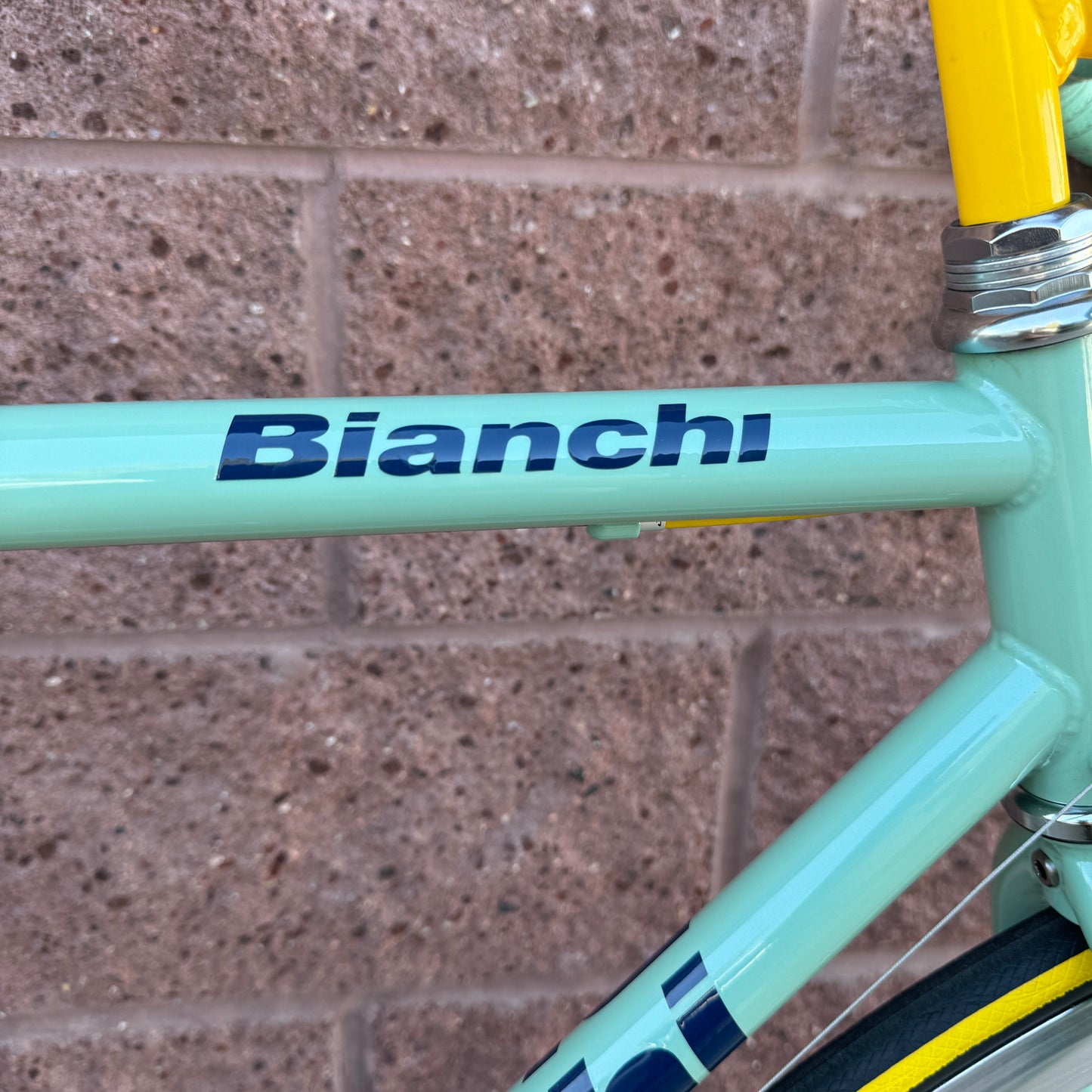 1998 Bianchi Mega Pro XL Mercatone Uno "Marco Pantani" 55cm Road Bike Restoration